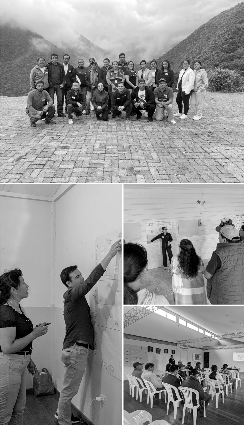 Proyectos de